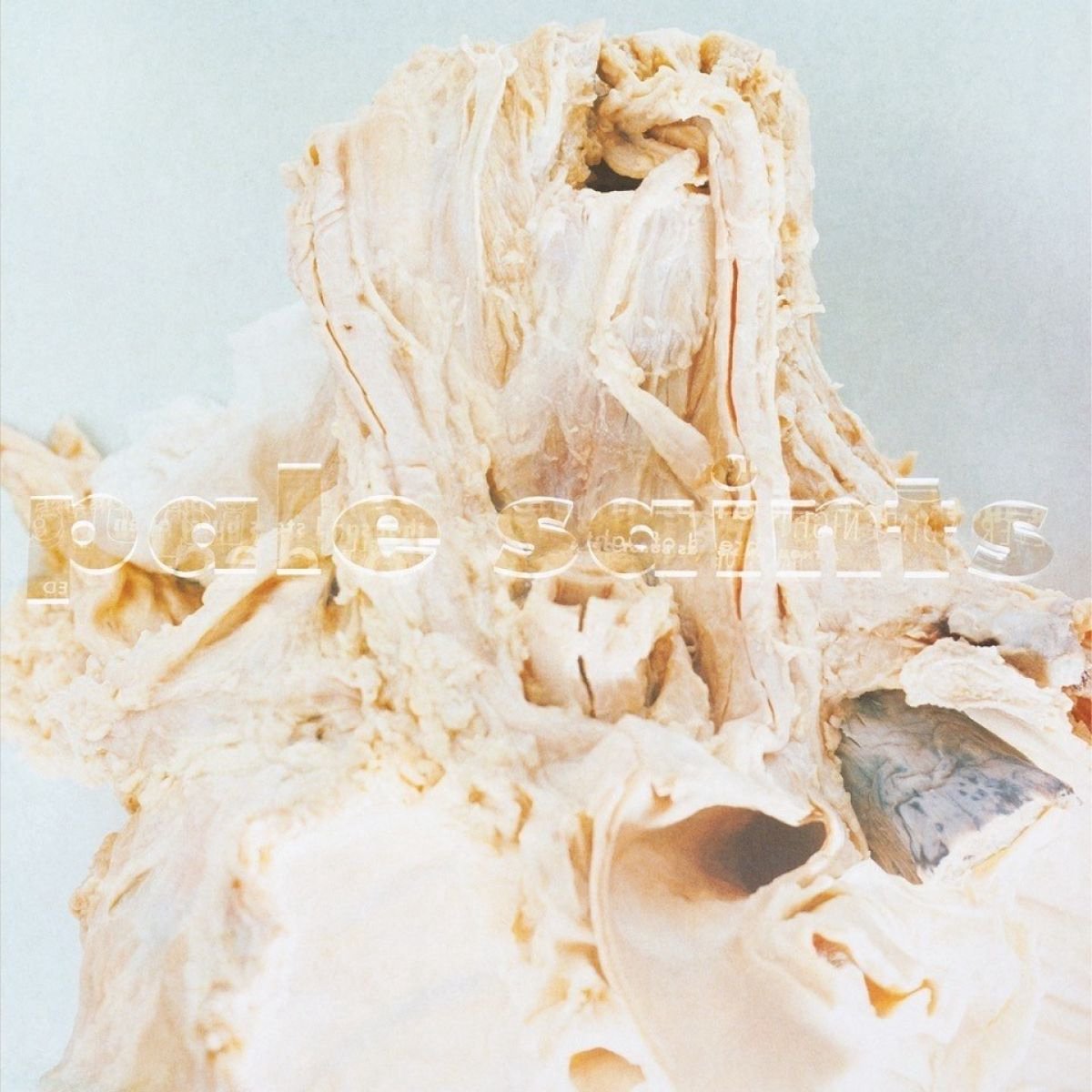 Pale Saints - In Ribbons (2Cd)