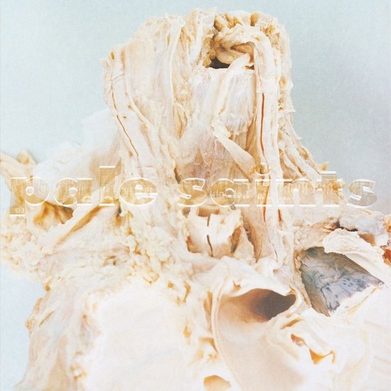 Pale Saints - In Ribbons (2Cd)