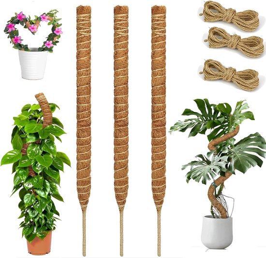 Mosstokken Set - Planten Steunen - Klimplanten Ondersteunen - Buigbaar Ontwerp - 30cm Hoog - Natuurlijk Bruin