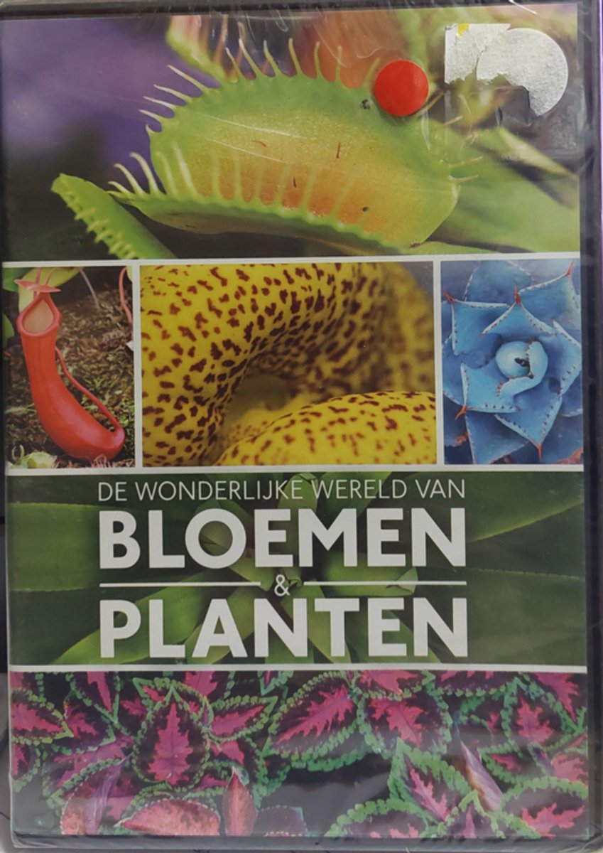 bloemen & planten
