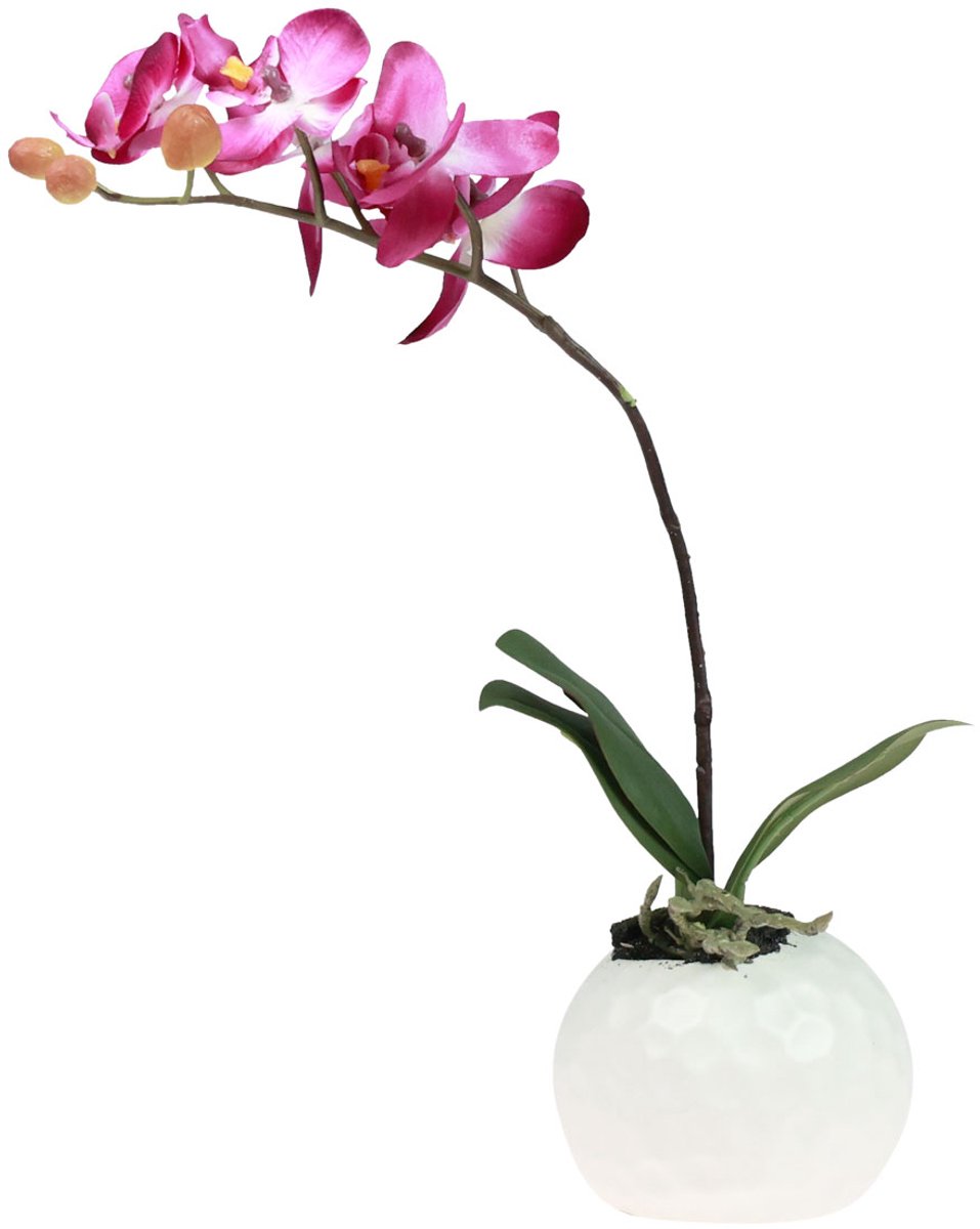Kunstorchideeën in pot Phalaenopsis kunstbloemen orchideeën roze 34cm