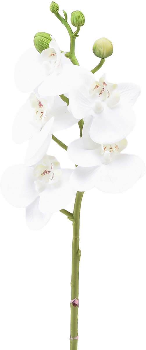 Witte kunstorchidee Phalaenopsis Real Touch 32cm