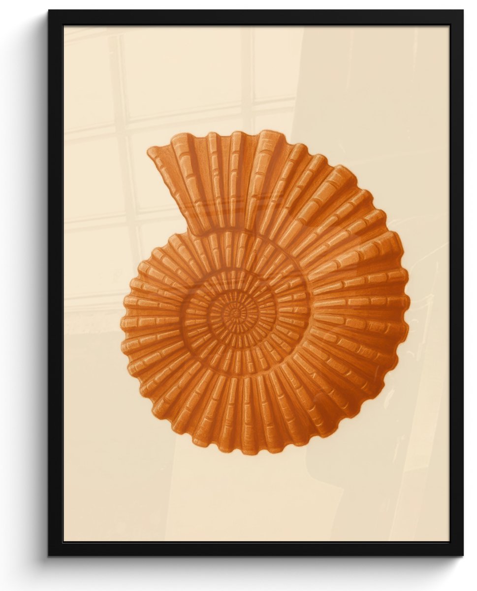 FrameYourWall Poster in lijst - Fotolijst 50x70 cm - Posters - Schelp - Oranje - Ribbels - Posterlijst zwart - Decoratie - Wanddecoratie woonkamer - Muurdecoratie slaapkamer