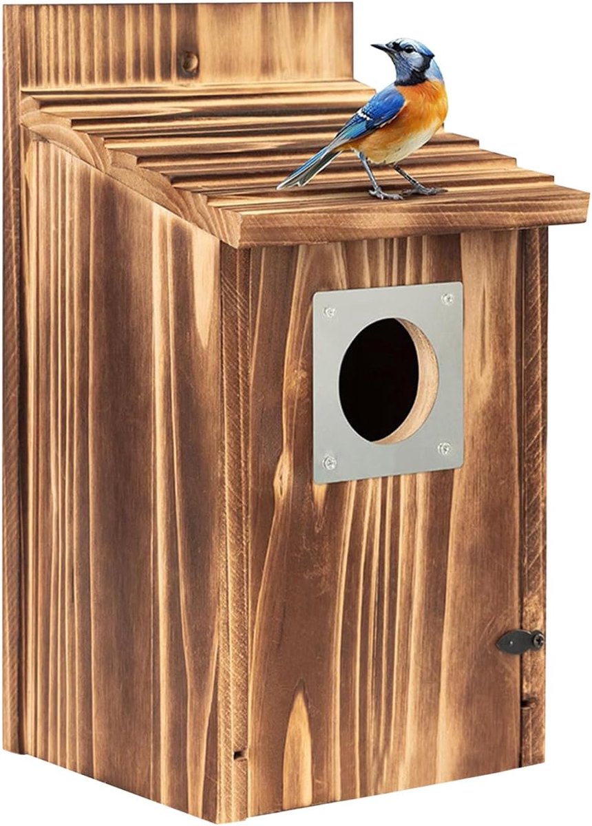 Vogelhuis Buiten - Nestkast Hout - Ondersteuning Tuindieren - Weerbestendige Constructie - 25x16x14cm