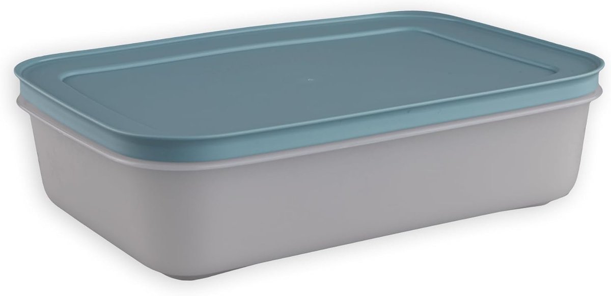 Diepvries Bakset - Vriezer Container - Voedsel Invriezen - Flexibel Materiaal - 22.6 x 15.7 x 6 cm - Blauw