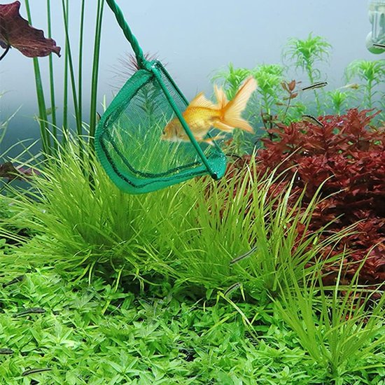 hocadon Pack of 3 Aquarium Net Small Fish Net 12x10.5cm Fish Net Pond Net with Metal Handle Small Fish Net for Aquarium van HOCA — afbeelding 3