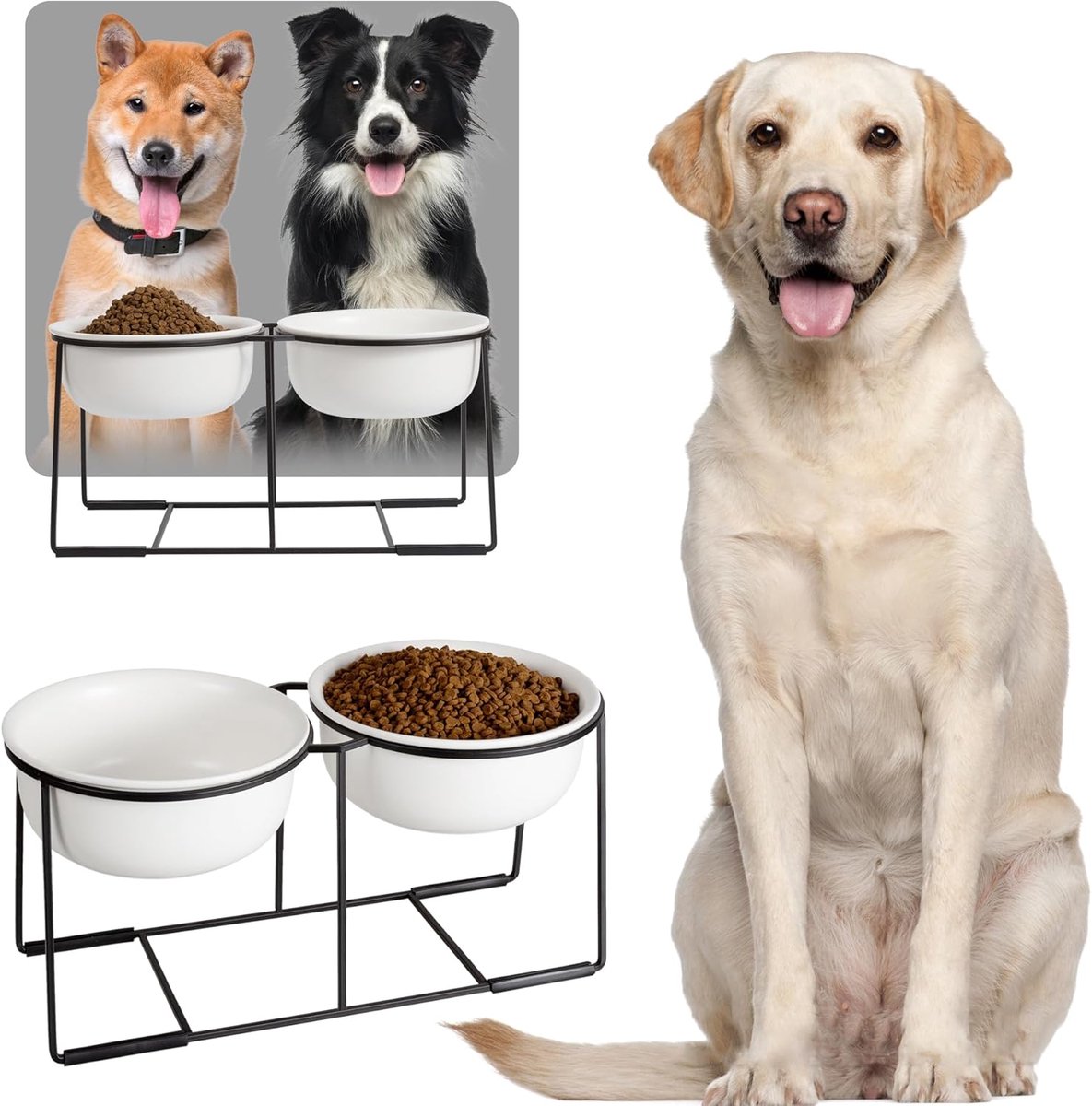 Verhoogde voederbakken voor grote honden - keramische dubbele hondenbak met antislip houder, 2 x 1600 ml, wit