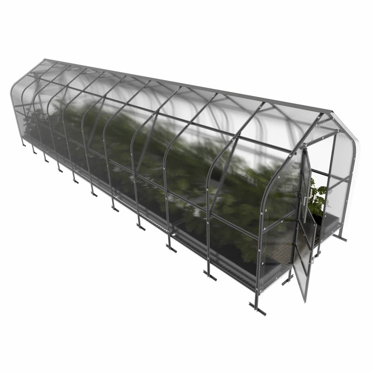 Klasika Polycarbonaat tuinkas 2,5x12m 30m² Drop