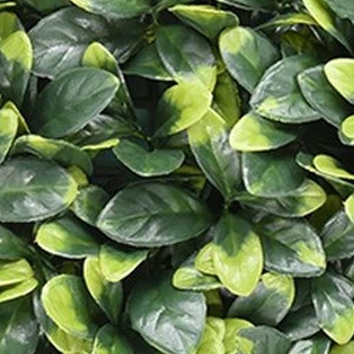 Buitengewoon Boet Kunstplanten mat 50x50 cm bayberry Buitengewoon de Boet groen