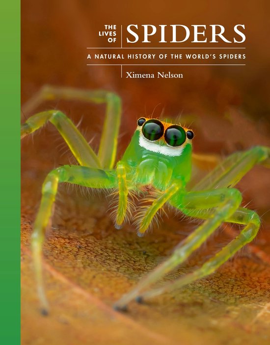 Groene springspin met grote, groene ogen met witte oogranden. Titel: The Lives of Spiders.