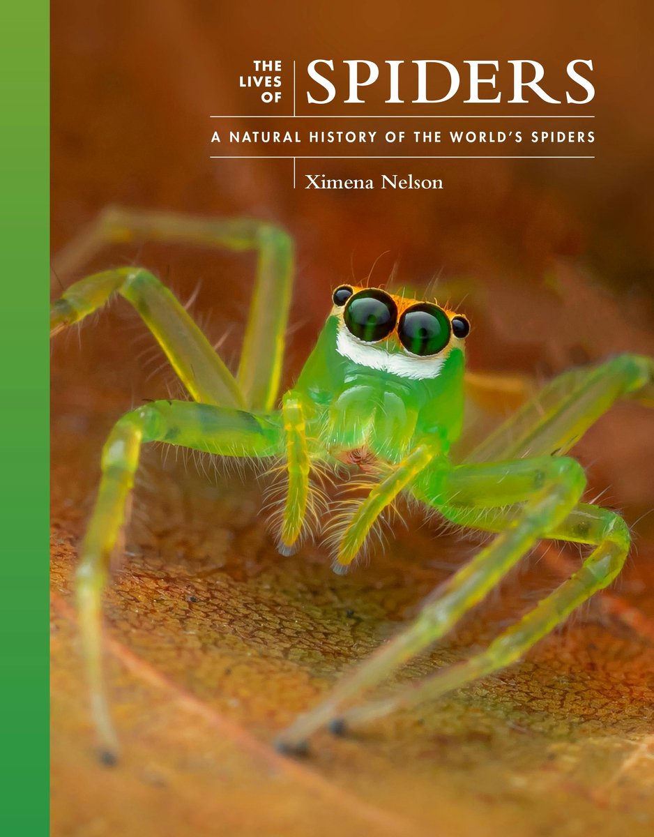 Omslag van The Lives of the Natural World-The Lives of Spiders