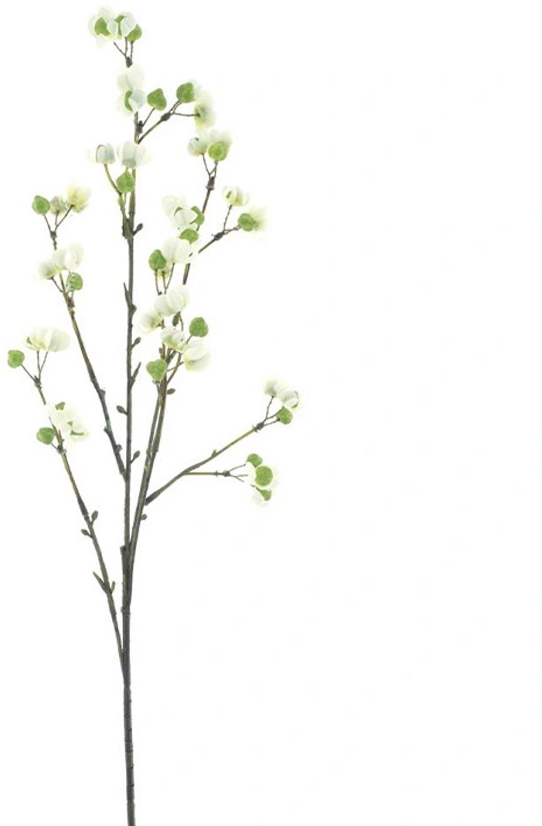 Erutan avon - Bittersweet berry spray new green 66 cm