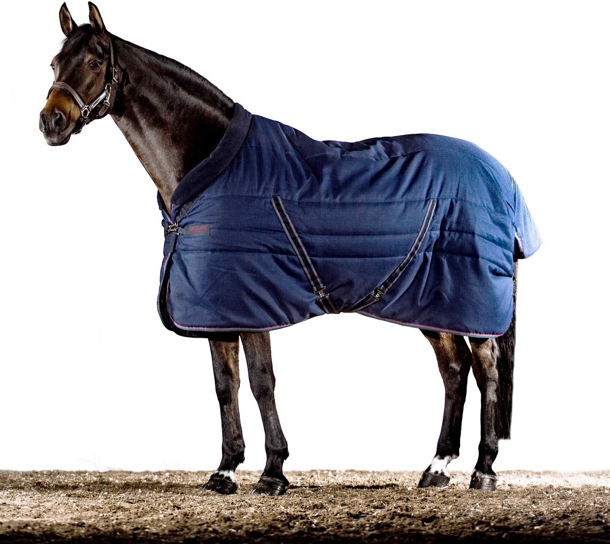 Rambo Cosy Stable Lite 100g-Navy-100 gr.-90-137 pony