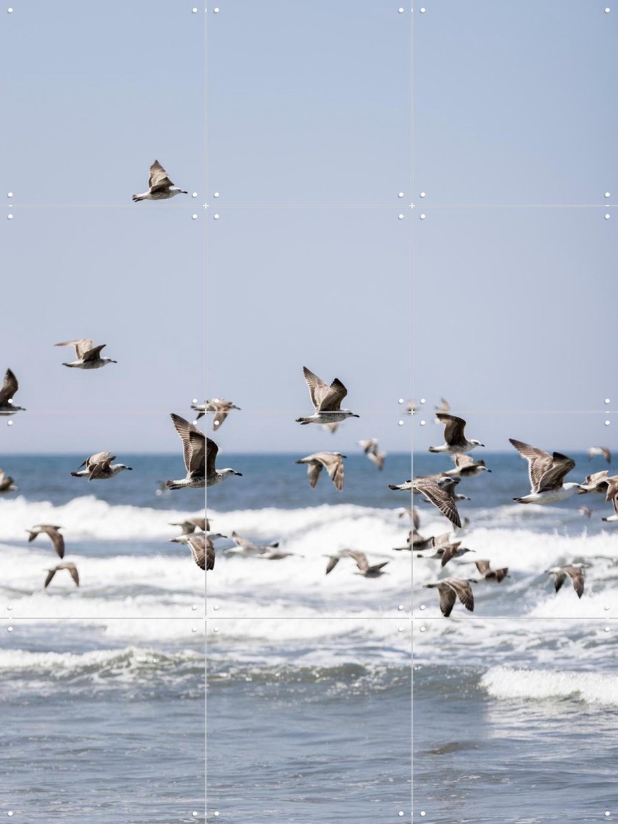 IXXI Birds and the Sea 2, Mareike Böhmer - 60 x 80 cm - Gratis ophangtool - Grote wanddecoratie en posters - Fotografie, Woonkamer, Slaapkamer