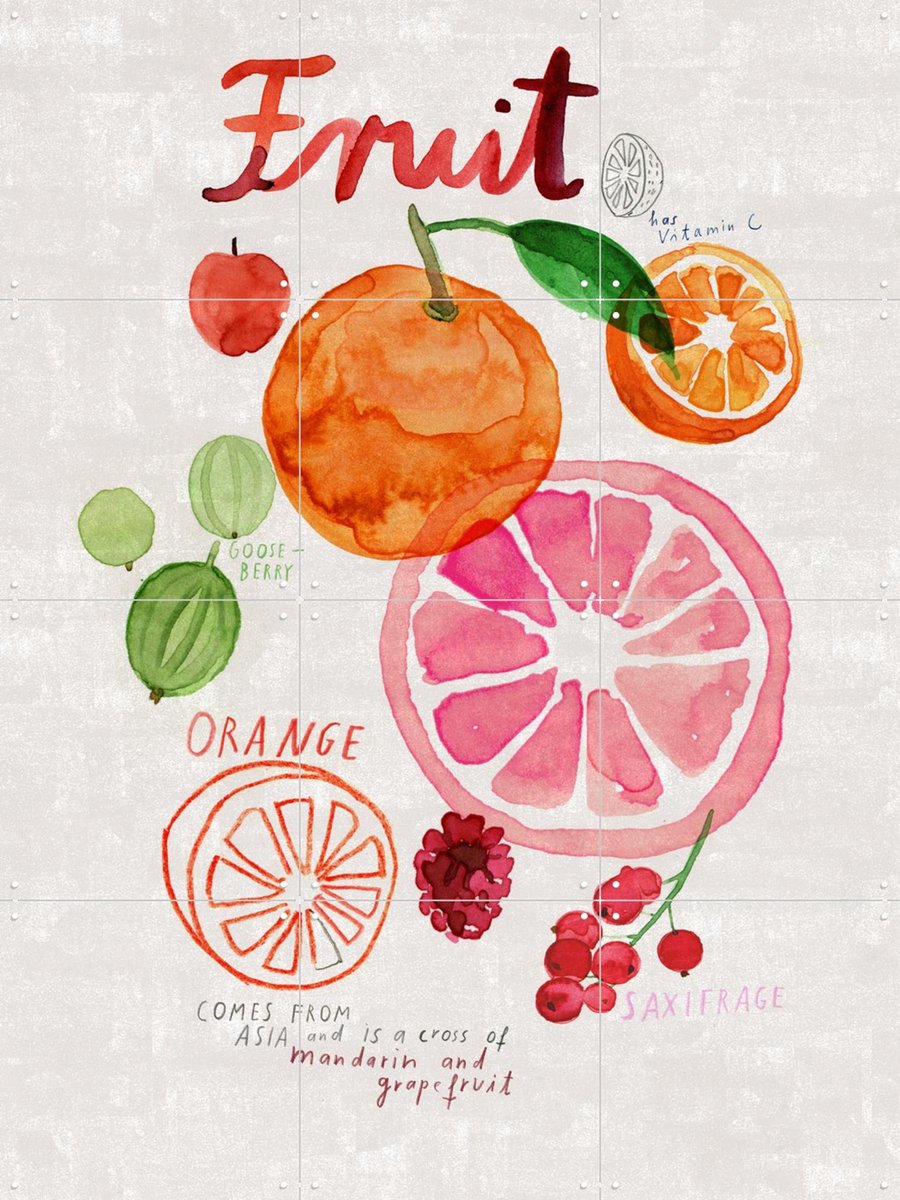 IXXI Fruit, Signorinah - 60 x 80 cm - Gratis ophangtool - Grote wanddecoratie en posters - Kleurrijk, Illustraties, Aquarel, Speels, Woonkamer