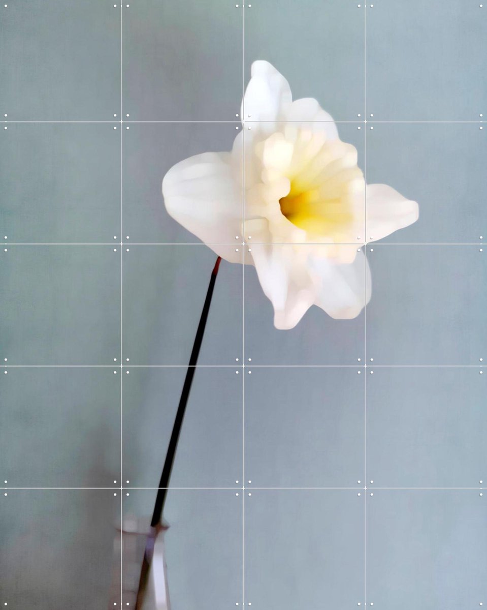 IXXI Narciso, Angelo Cerantola - 80 x 100 cm - Gratis ophangtool - Grote wanddecoratie en posters - Kleurrijk, Fotografie, Slaapkamer, Woonkamer