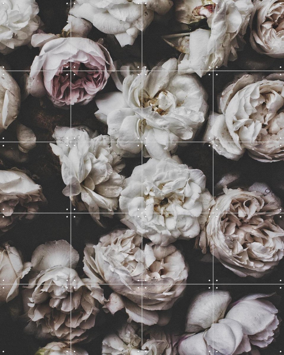 IXXI Peony Roses, STUDIO HANNAH LEMHOLT - 80 x 100 cm - Gratis ophangtool - Grote wanddecoratie en posters - Fotografie, Slaapkamer, Woonkamer