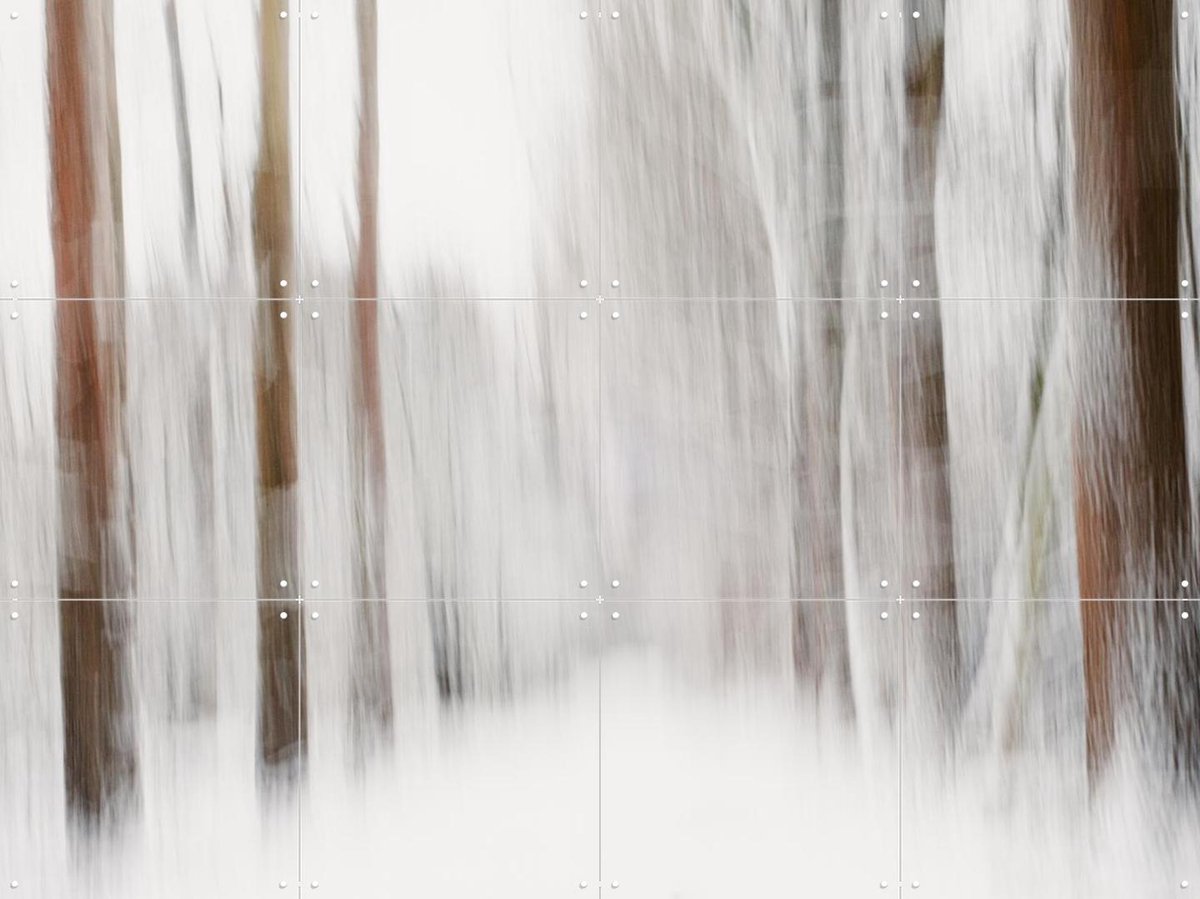 IXXI Snow in the Forest, Photolovers - 80 x 60 cm - Gratis ophangtool - Grote wanddecoratie en posters - Abstract, Impressionisme, Fotografie