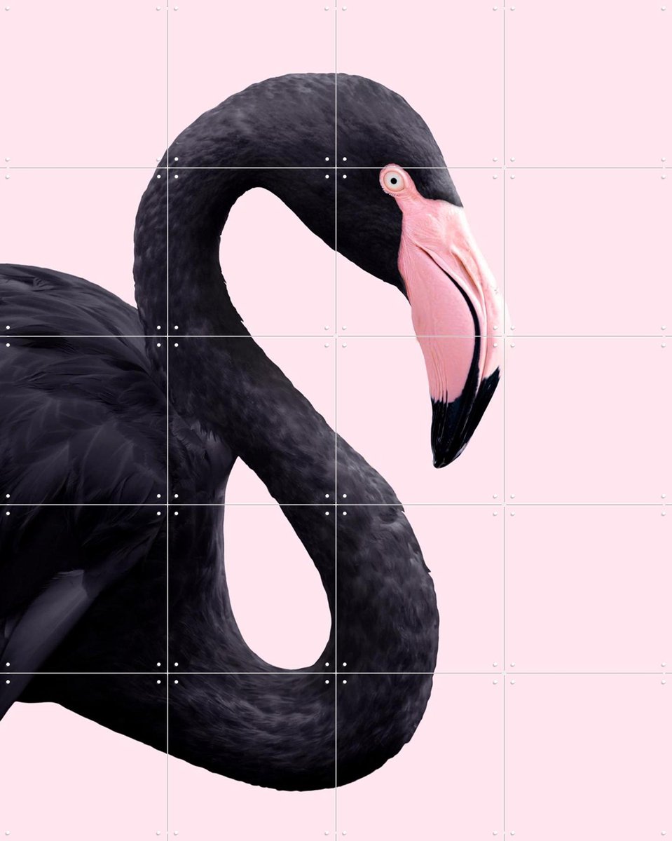 IXXI Black Flamingo, Paul Fuentes - 80 x 100 cm - Gratis ophangtool - Grote wanddecoratie en posters - Speels, Kleurrijk, Grafisch Ontwerp, Digitale