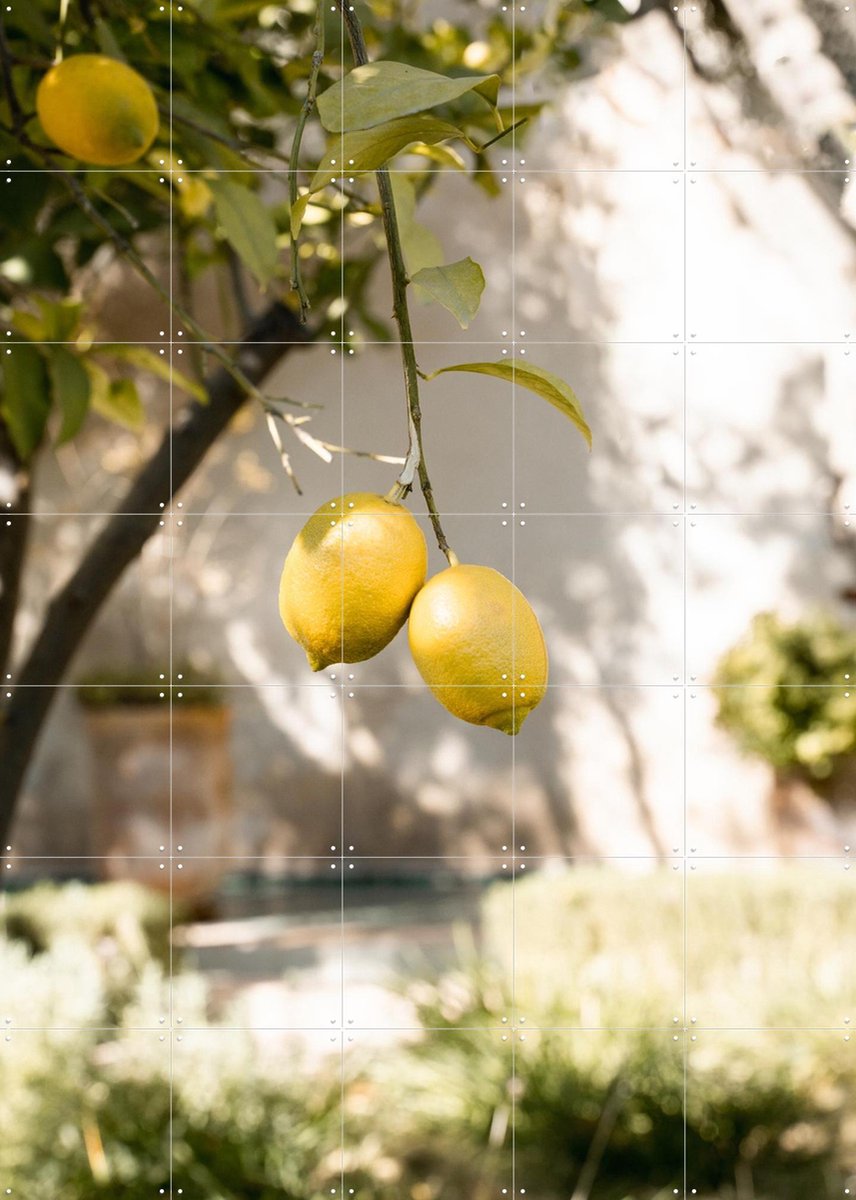IXXI Moroccan Fruits, Henrike Schenk - 100 x 140 cm - Gratis ophangtool - Grote wanddecoratie en posters - Naturalisme, Fotografie, Eetkamer, Gang