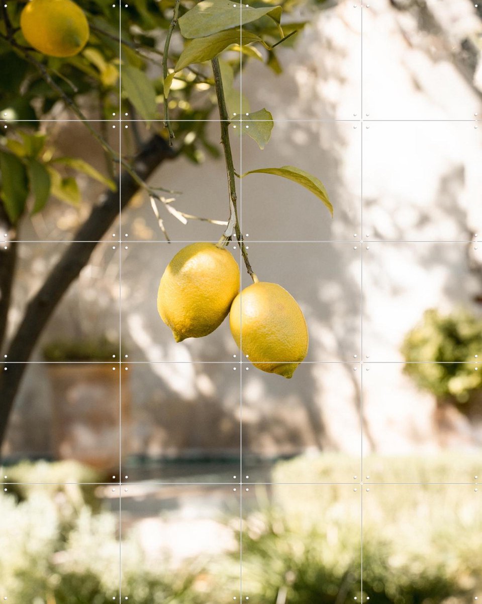 IXXI Moroccan Fruits, Henrike Schenk - 80 x 100 cm - Gratis ophangtool - Grote wanddecoratie en posters - Naturalisme, Fotografie, Eetkamer, Gang