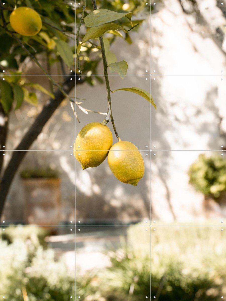 IXXI Moroccan Fruits, Henrike Schenk - 60 x 80 cm - Gratis ophangtool - Grote wanddecoratie en posters - Naturalisme, Fotografie, Eetkamer, Gang