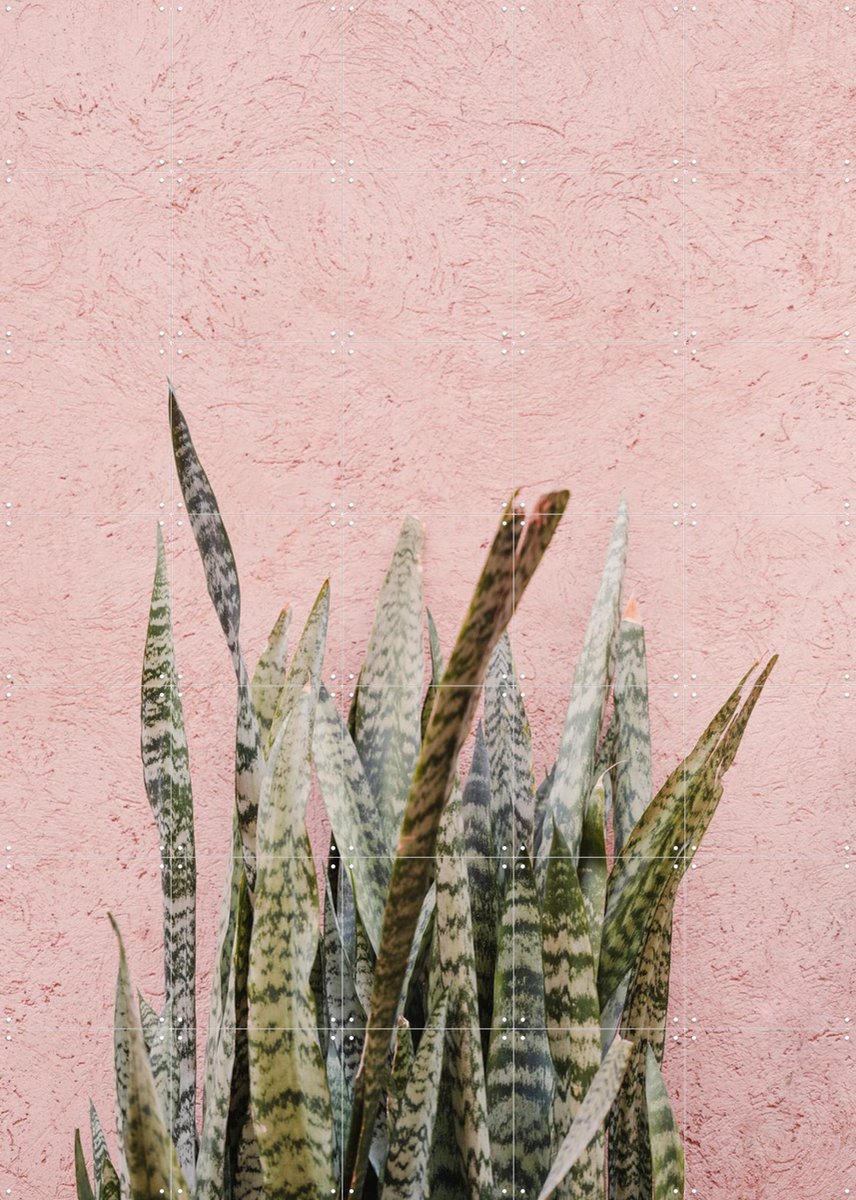 IXXI Botanical Scene In Marrakech, Photolovers - 100 x 140 cm - Gratis ophangtool - Grote wanddecoratie en posters - Illustraties, Fotografie