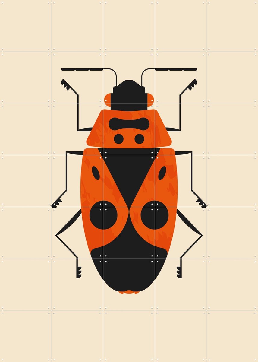 IXXI The Firebug, Studio Kars + Boom - 100 x 140 cm - Gratis ophangtool - Grote wanddecoratie en posters - Grafisch Ontwerp, Kleurrijk, Digitale