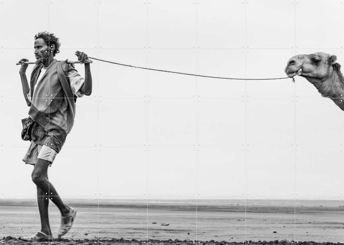 IXXI Man with his Camel, Photolovers - 140 x 100 cm - Gratis ophangtool - Grote wanddecoratie en posters - Fotografie, Woonkamer, Dieren