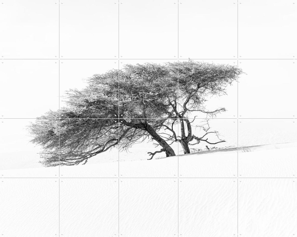 IXXI Tree in Sahara Desert, Photolovers - 100 x 80 cm - Gratis ophangtool - Grote wanddecoratie en posters - Fotografie, Minimalisme, Woonkamer