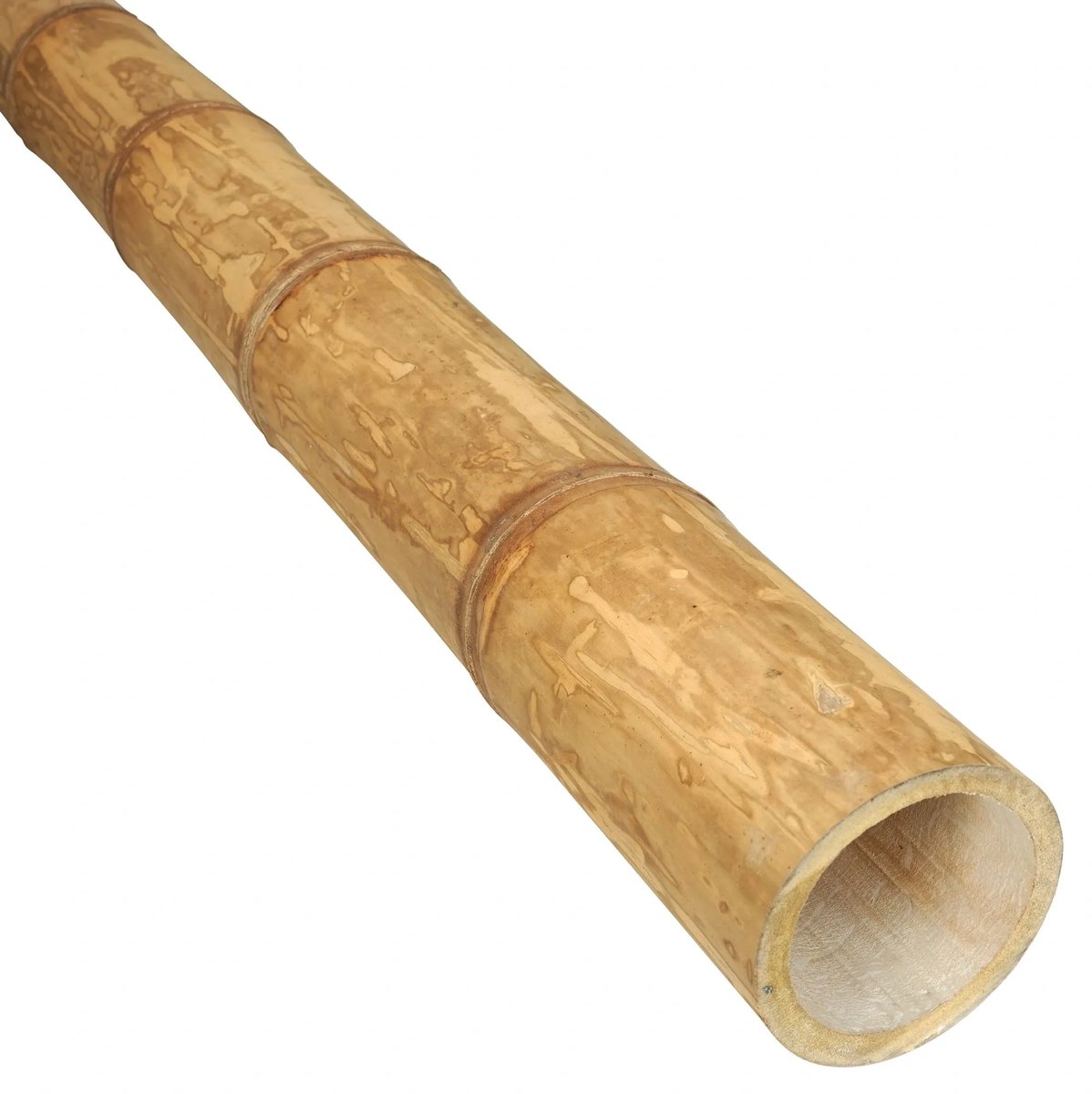 Masters of Bamboo® Bamboe Paal Guadua - 100 cm - Ø 11-13 cm