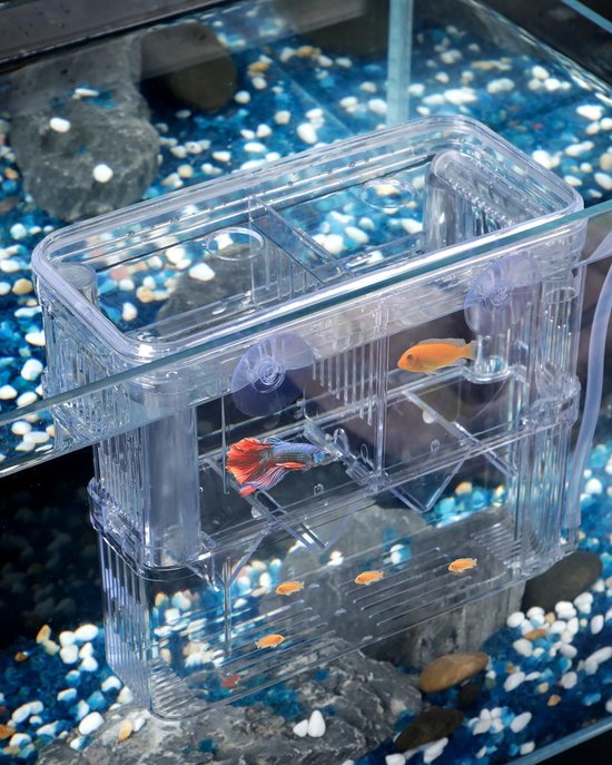 Aquarium Fish Cultivation Box - Transparante Plastic Kweekbox voor Baby Vissen - Kweekbox voor Guppy's, Garnalen, Betta's, Clownvissen en Grote Agressieve Vissen