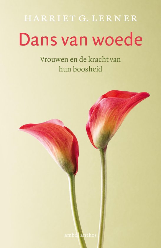 Dans van woede - cover