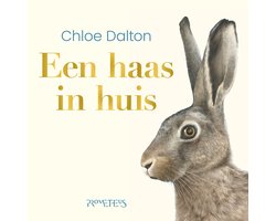 Een haas in huis