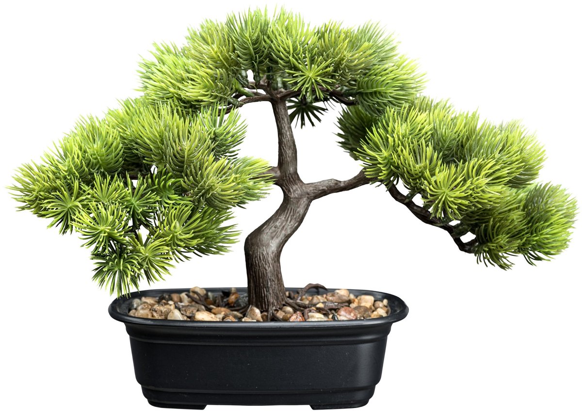 Kopu Kunstplant Bonsai - ca. 23x30 cm met Zwarte Sierpot Groen
