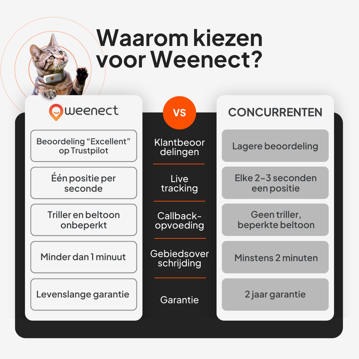 Weenect Cat XS Black edition - NIEUWE GPS-kattenhalsband | Real-time GPS-minitracker voor katten | Kleinste op de markt | Abonnement | Halsband inbegrepen | Levenslange garantie thumbnail 8