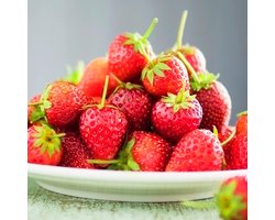 Aardbei Plant - Korona - Tuinplant - 20 stuks - Rood - Aardbeiplanten voor moestuin