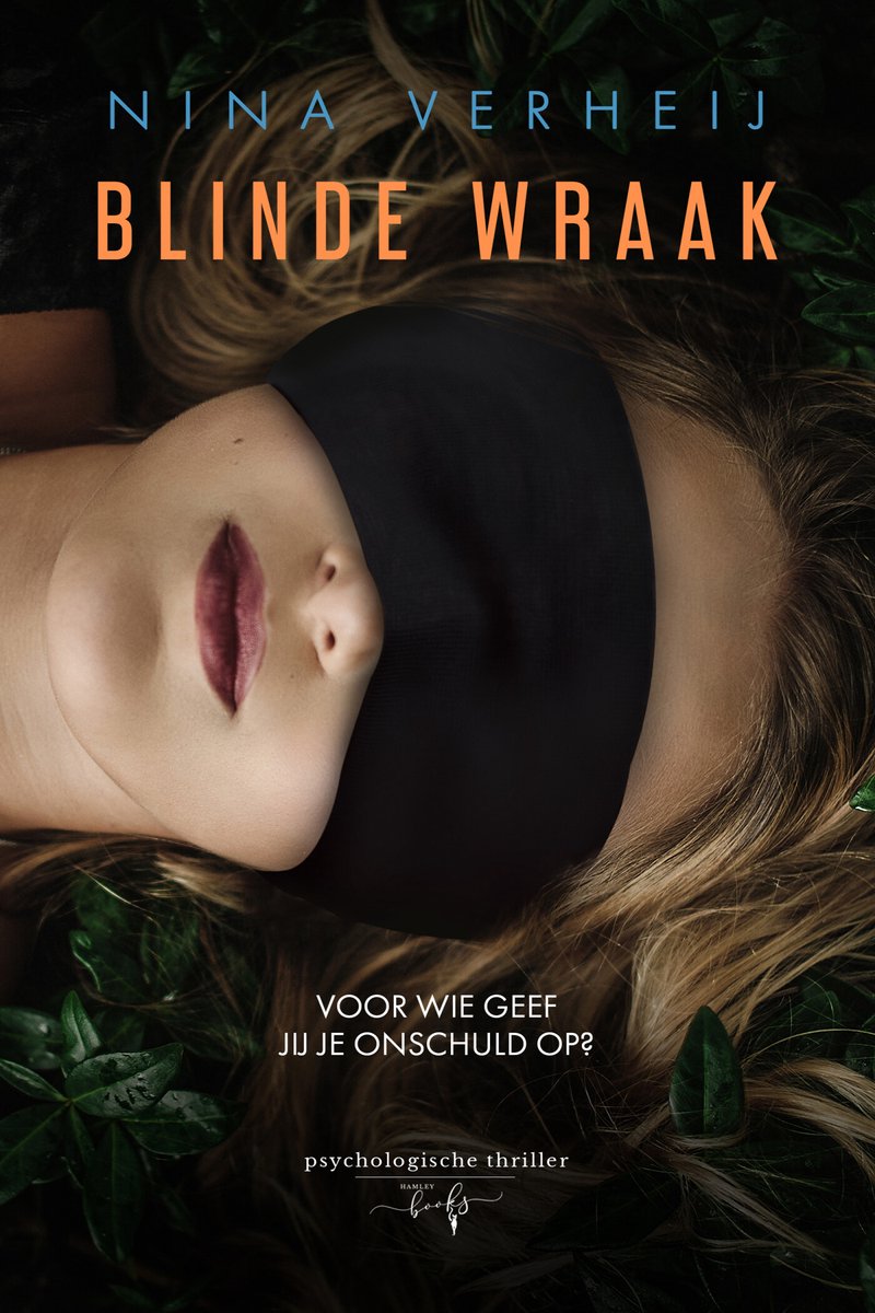 Omslag van Blinde Wraak