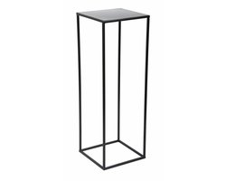 HowHomely - Stalen Plantenstandaard - Zwart - 70 cm - Loftstijl - Voor Binnen en Buiten
