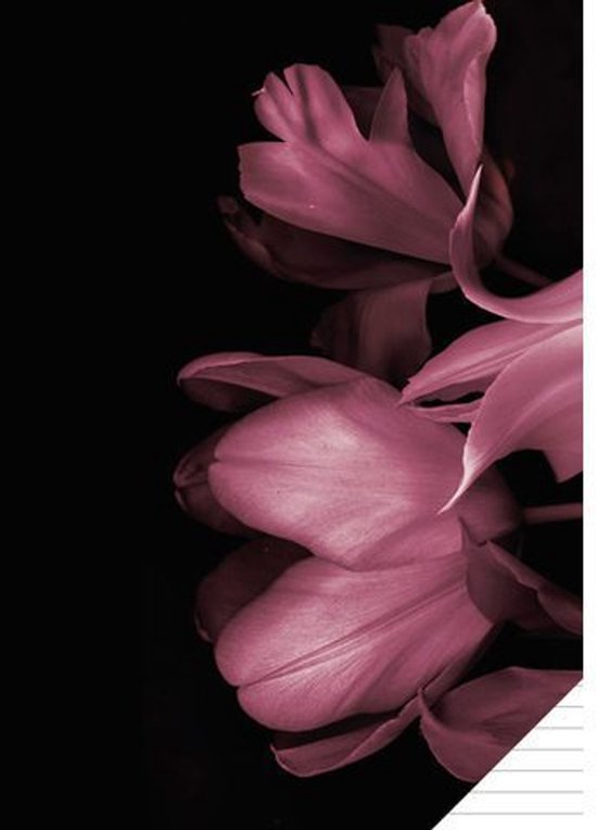 Paarse tulpen tegen een zwarte achtergrond.