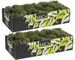 Mica Decorations Rendiermos - 1 kilo - donkergroen - hobby mos - decoratie materialen