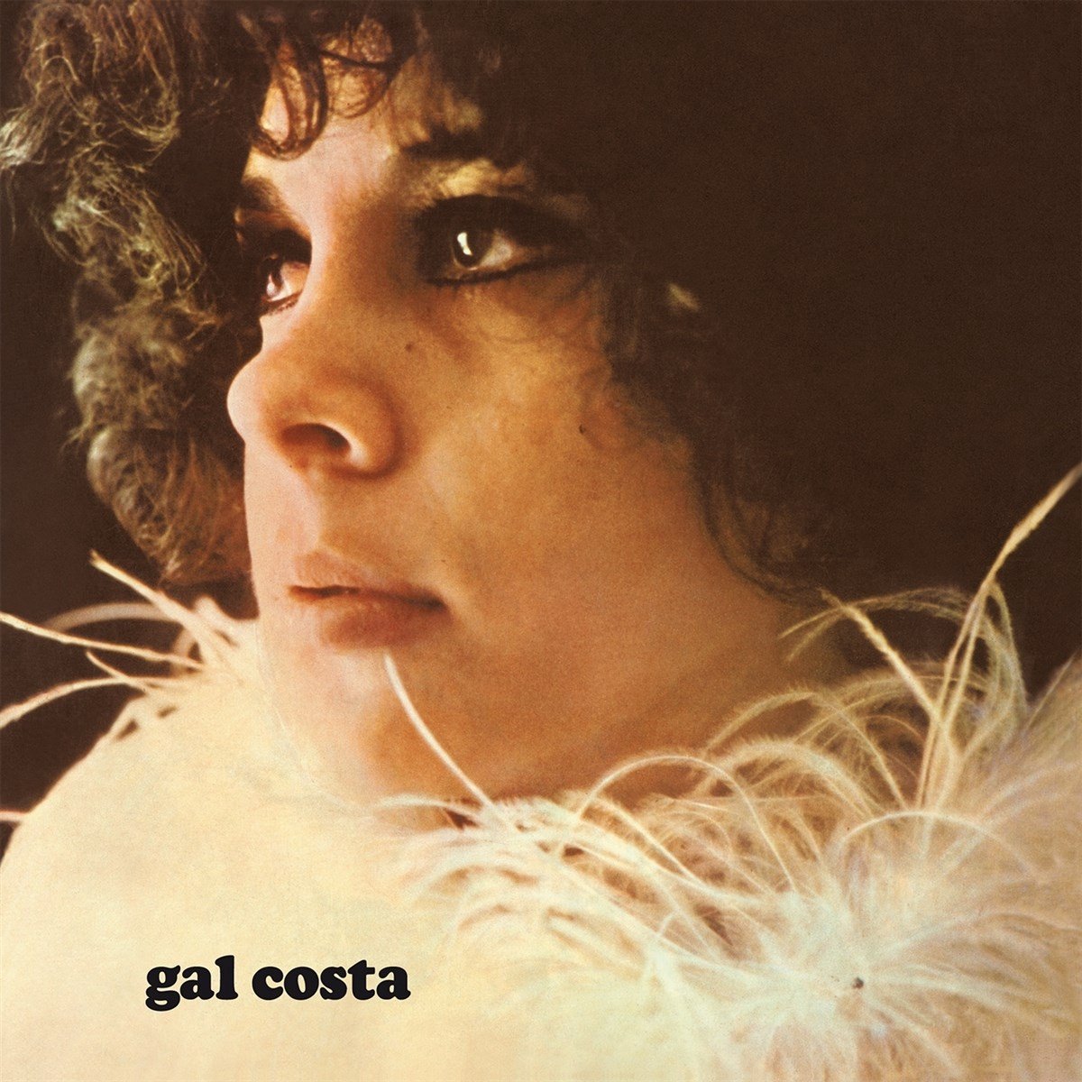 Gal Costa - Gal Costa (1969) (LP)