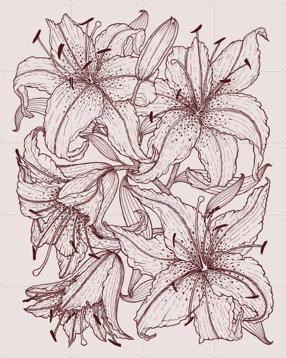 IXXI Lilies Pink, Geertje Aalders - 80 x 100 cm - Gratis ophangtool - Grote wanddecoratie en posters - Illustraties, Bloemen, Botanisch