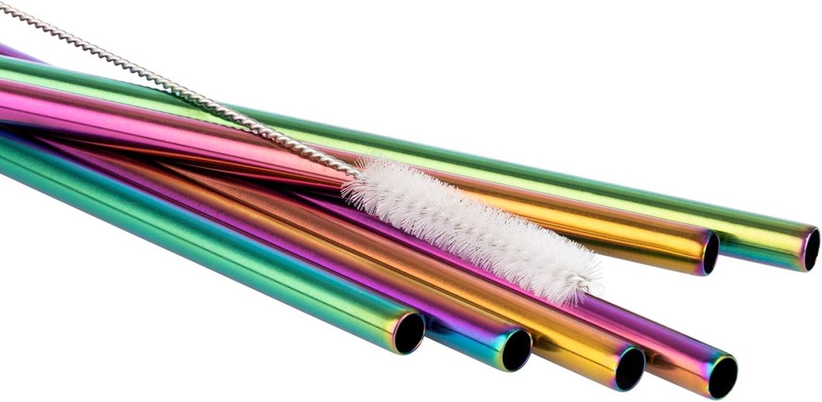 Set van 6 Herbruikbare Metalen Rietjes in Regenboogkleuren met Borstel