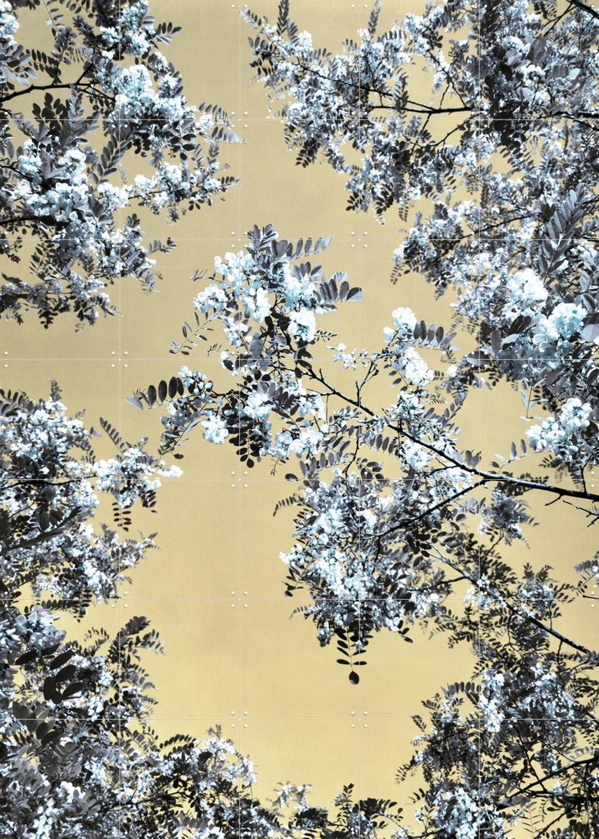 IXXI Blossoming, Angelo Cerantola - 100 x 140 cm - Gratis ophangtool - Grote wanddecoratie en posters - Kleurrijk, Fotografie, Grafisch Ontwerp