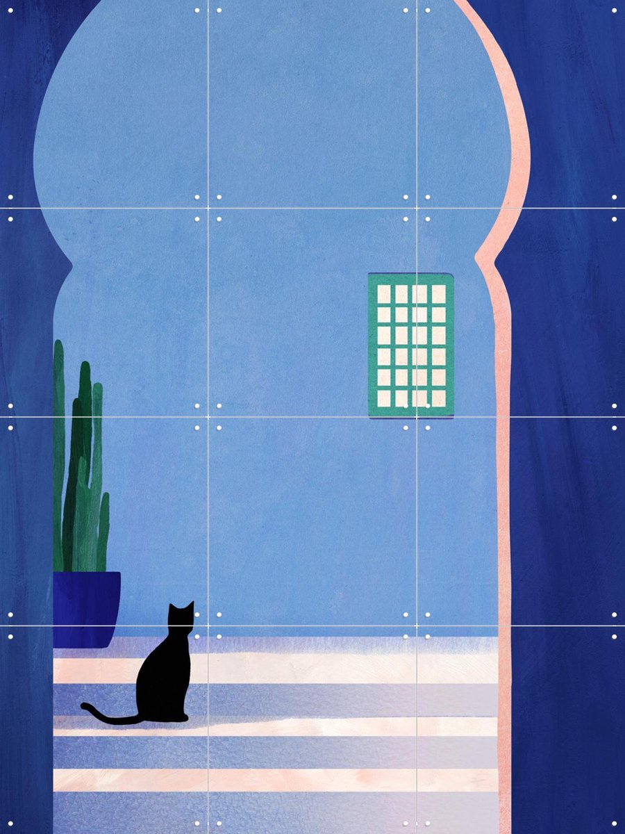 IXXI Cat in Morocco, Henry Rivers - 60 x 80 cm - Gratis ophangtool - Grote wanddecoratie en posters - Illustraties, Kleurrijk, Natuur, Architectuur