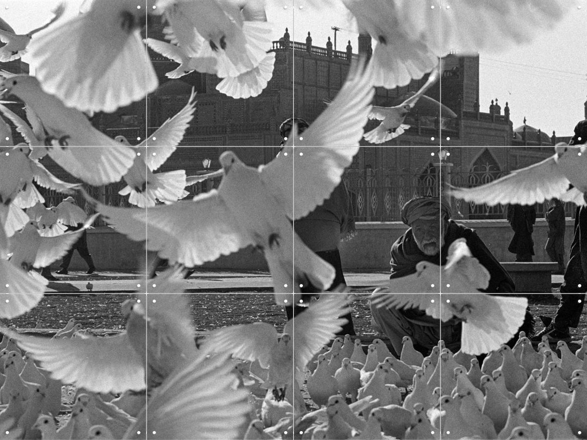 IXXI Doves Mazar, Teun Voeten - 80 x 60 cm - Gratis ophangtool - Grote wanddecoratie en posters - Vintage, Fotografie, Woonkamer, Vogels, Stad