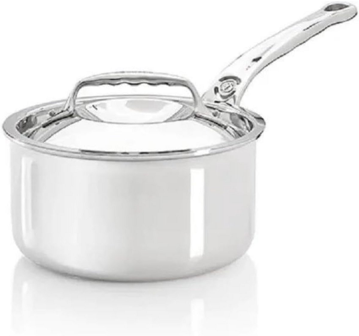 Roestvrijstalen braadpan met deksel 20 cm Professionele Kwaliteit