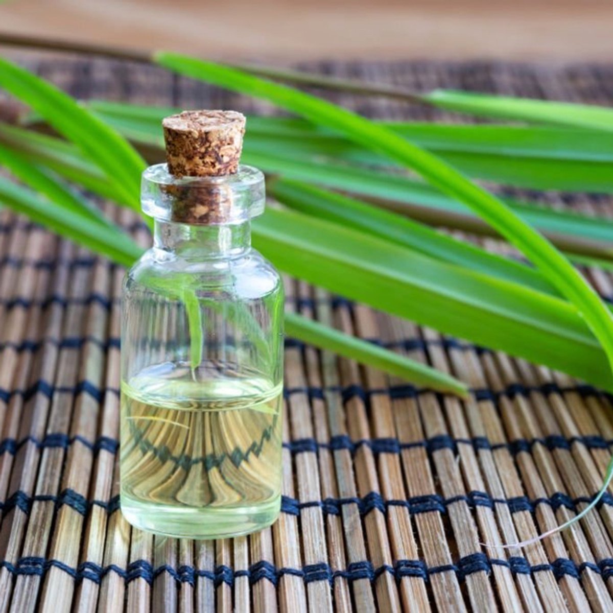 Vetiver Java Etherische Olie - 250 ml