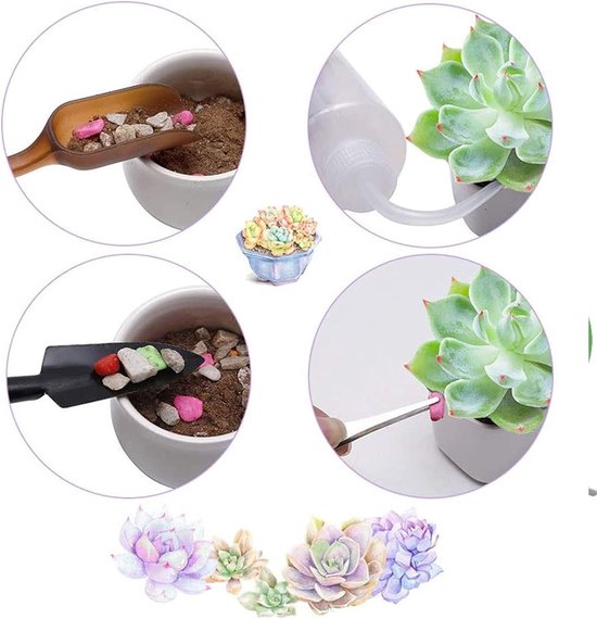 Mini Tuinset voor Bonsai en Succulenten - 13-delige Transplantatie Gereedschaps Set van MINI — afbeelding 4